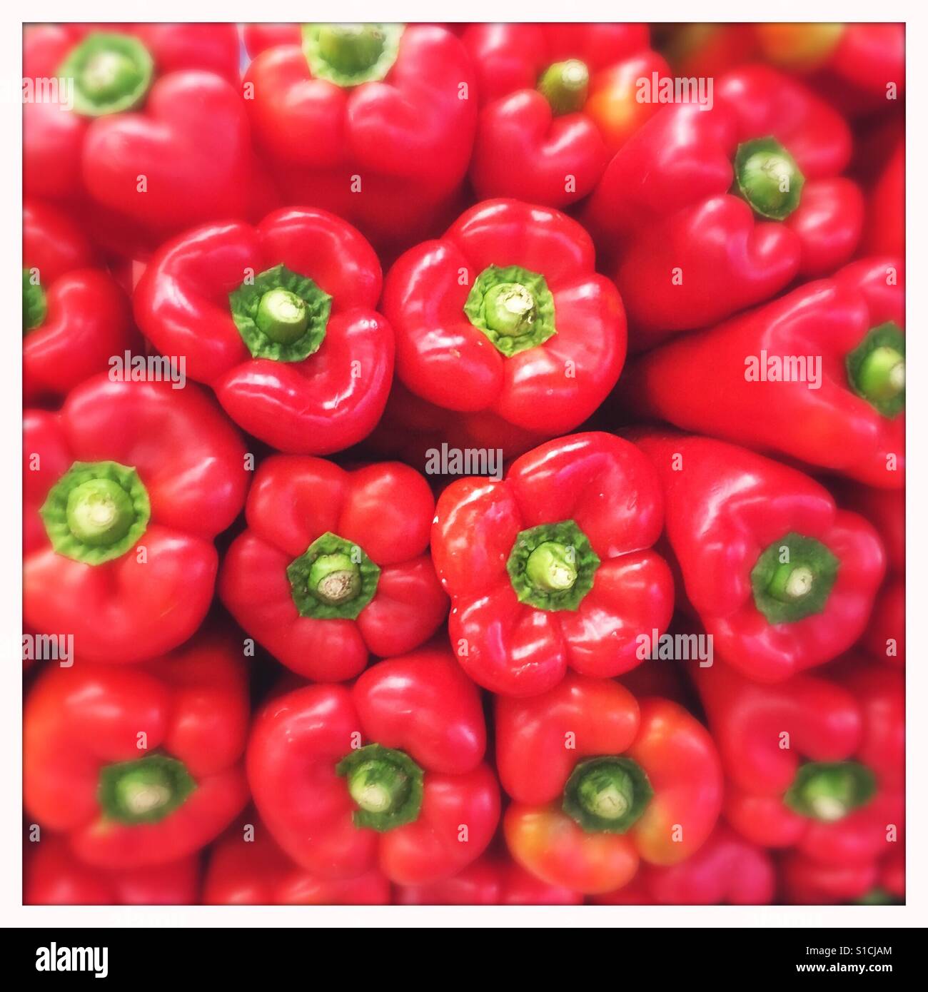 Frische Paprika in einem Stapel Stockfoto