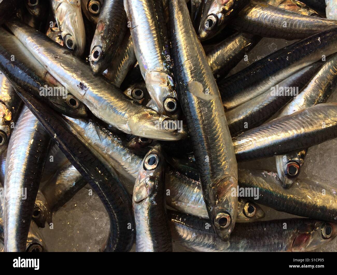 Fische am Rialto Fischmarkt, Venedig, Italien Stockfoto