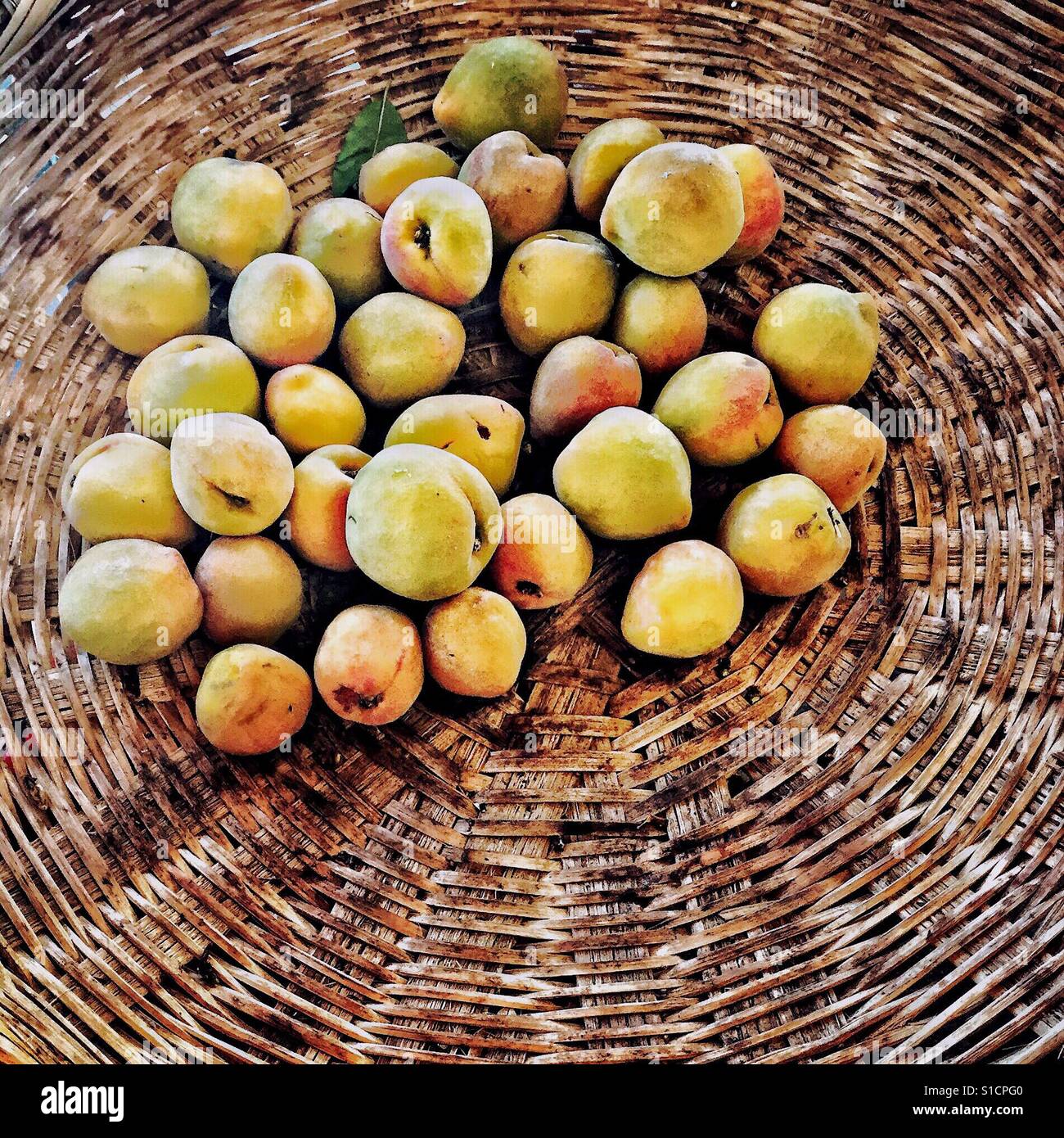 Frische Pfirsiche werden in einem geflochtenen Korb angezeigt. Stockfoto