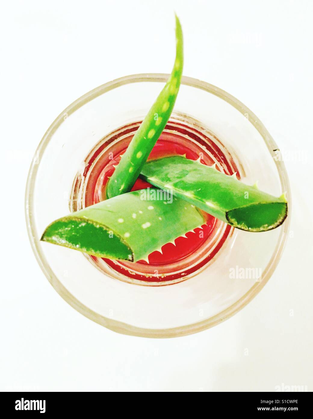 Aloe Vera in einem Glas Stockfoto