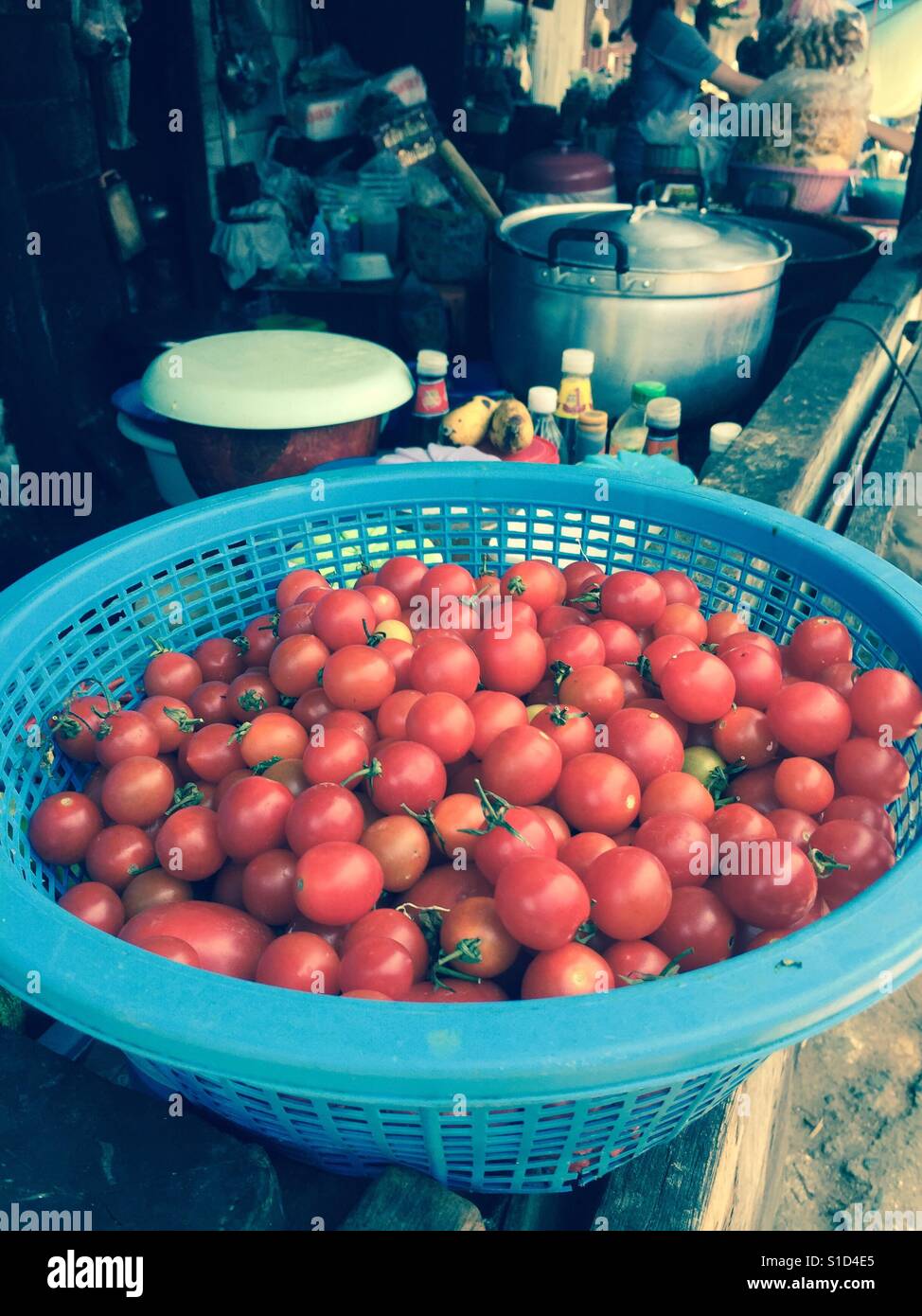 Korb voll mit Cherry-Tomaten in Hmong Hill Tribe Village, Chiang Mai, Thailand. Stockfoto