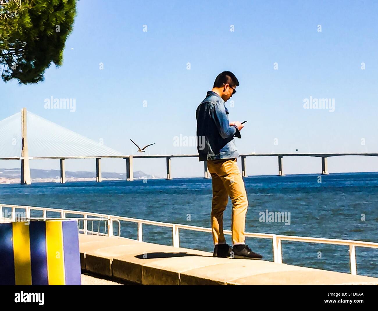 Asiatische Männer betrachten Telefon am Fluss Stockfoto