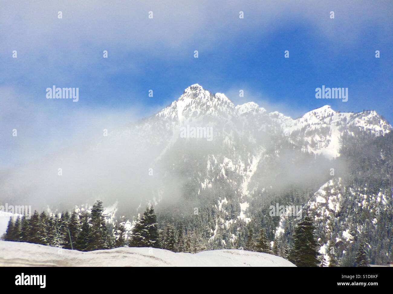 Winter, Denny Berg, Snoqualmie Pass, Kaskade-Strecke, Washington Stockfoto