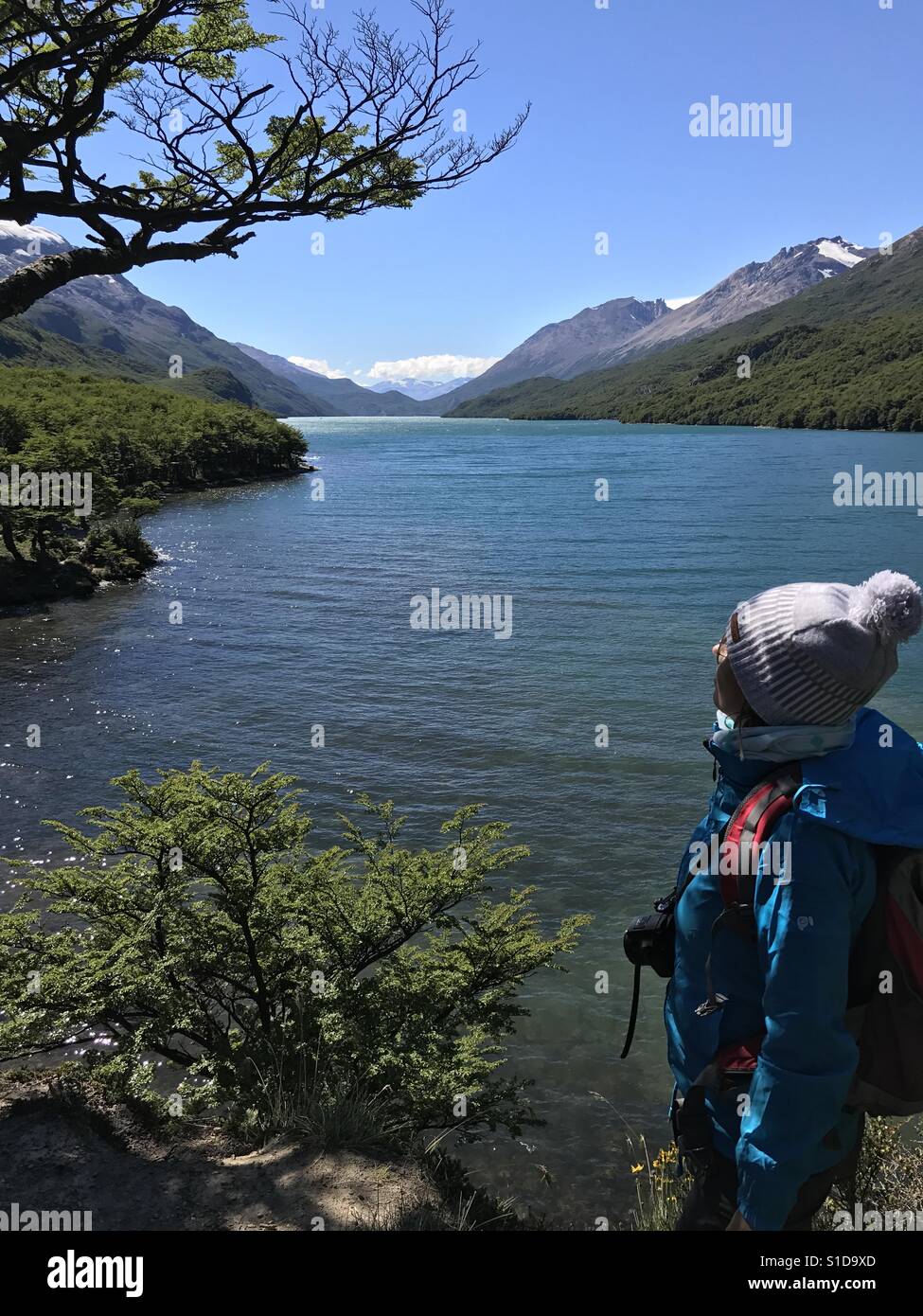 Lago Argentino, Patagonien, Argentinien Stockfoto