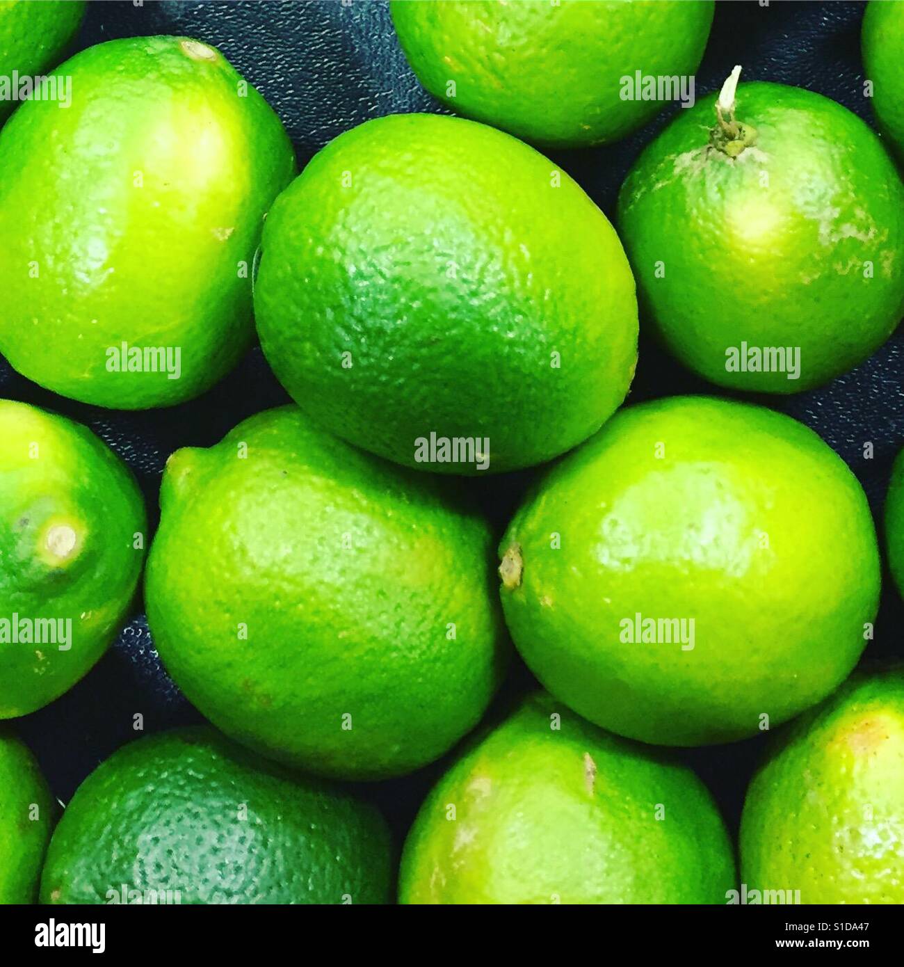 Limes von k.r. Stockfoto