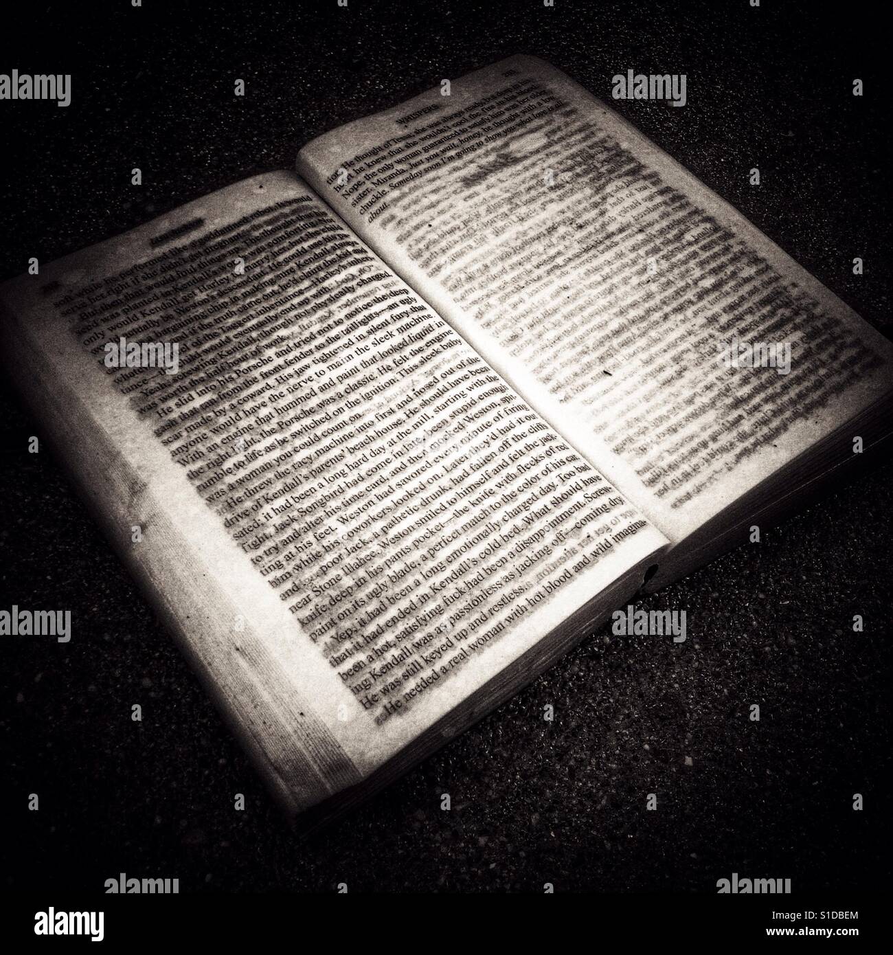 Buch ausgelassen im Regen. Stockfoto