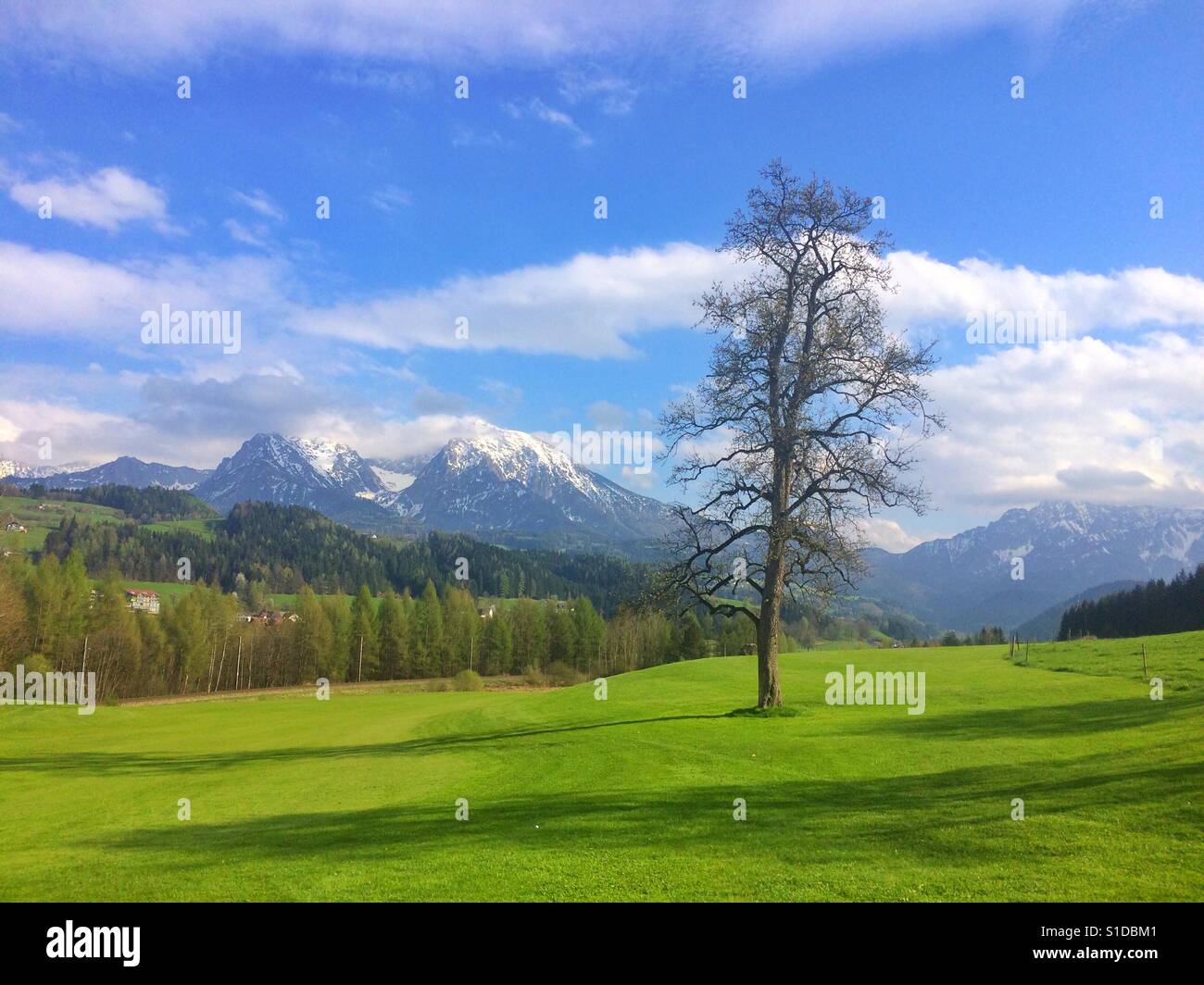 Auf dem Golfplatz Frühling in Österreich - Smartphone-aufgenommenes Stockfoto