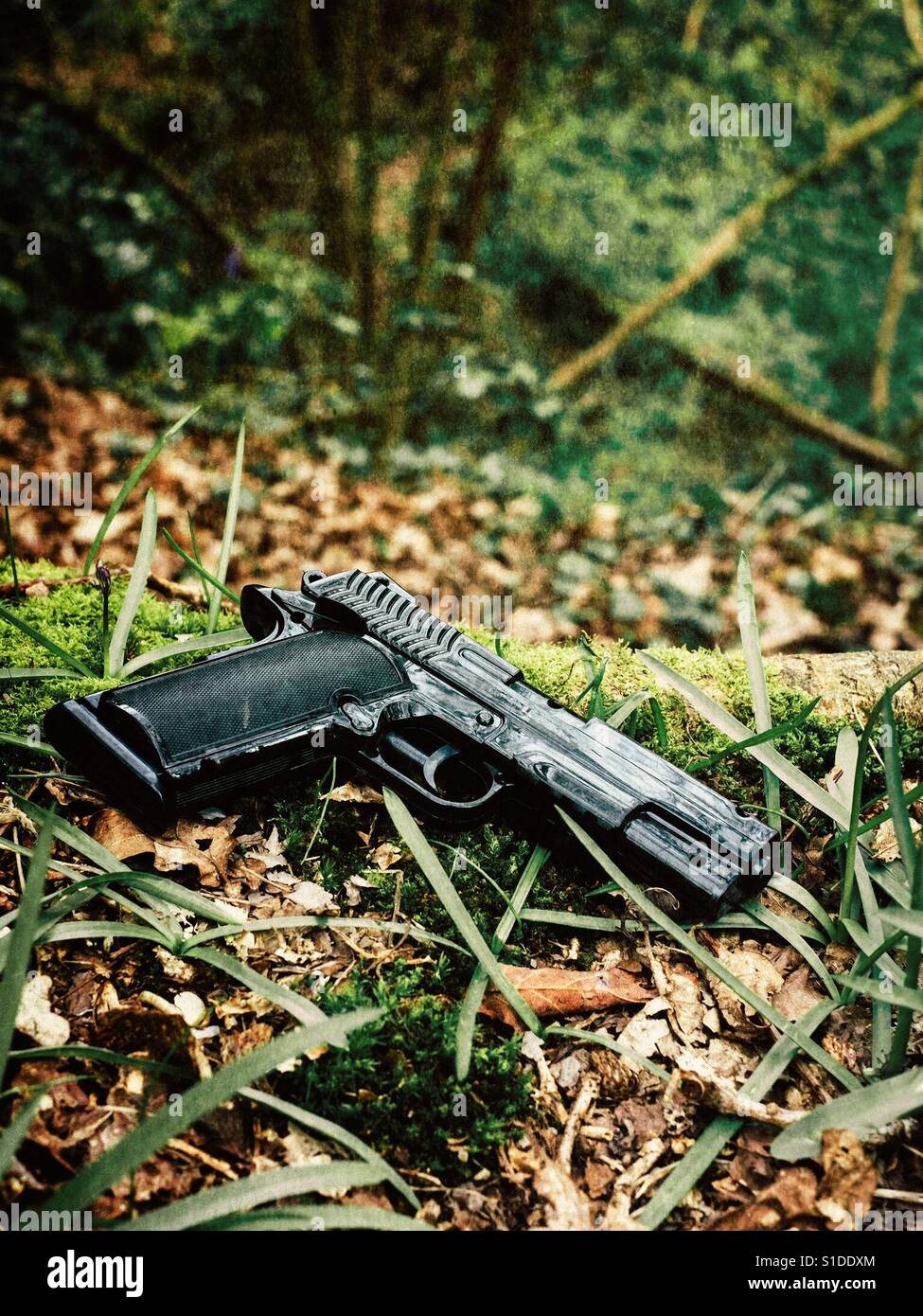 Verlorene Gewehr im Wald Stockfoto