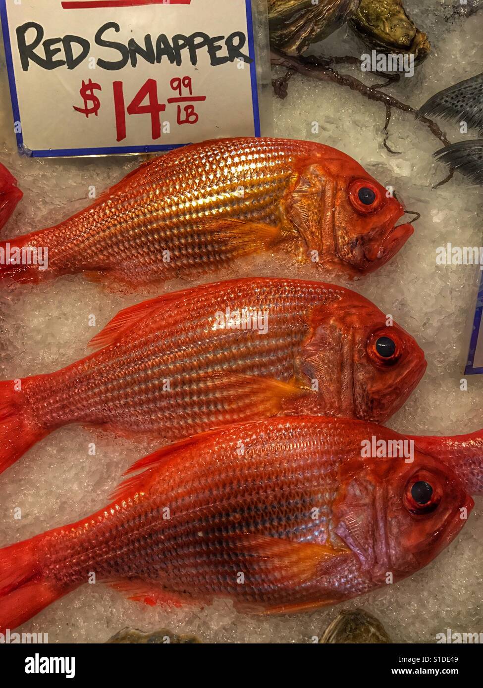 Red Snapper, Hechte Markt, Seattle, Washington, USA - Smartphone-aufgenommenes Stockfoto