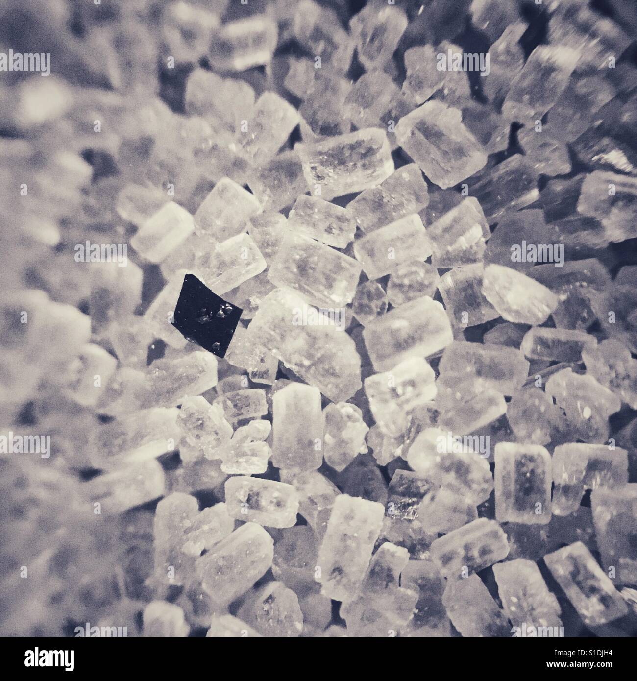 Makroaufnahme von Zucker Stockfoto