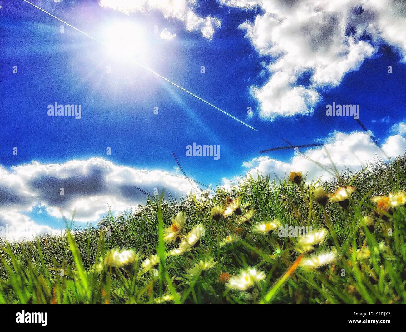 Sommer in England. - Smartphone-aufgenommenes Stockfoto