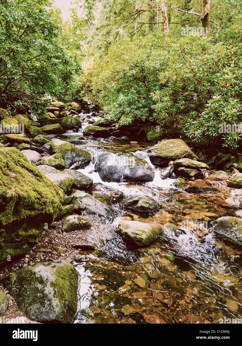 Wilder Fluss in Irland. Stockfoto