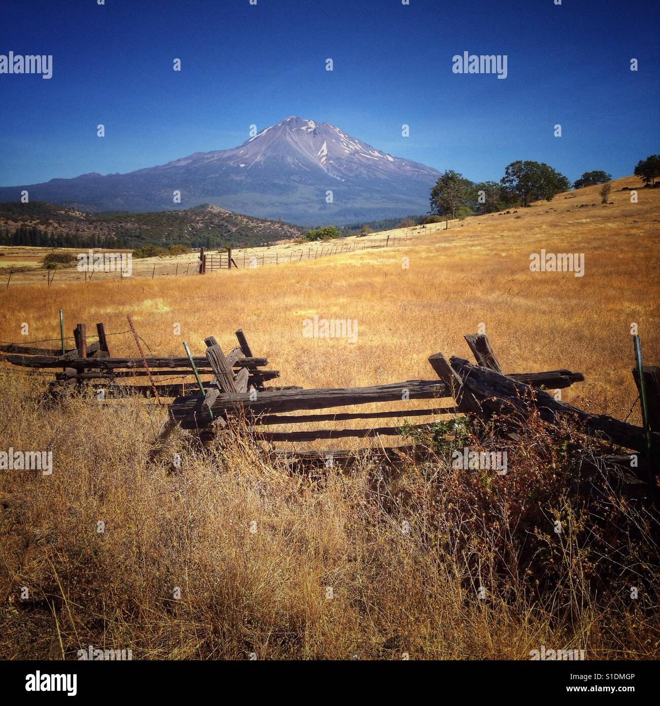 Blick über das Ranchland zum Mt. Shasta in Nordkalifornien. - Smartphone-aufgenommenes Stockfoto