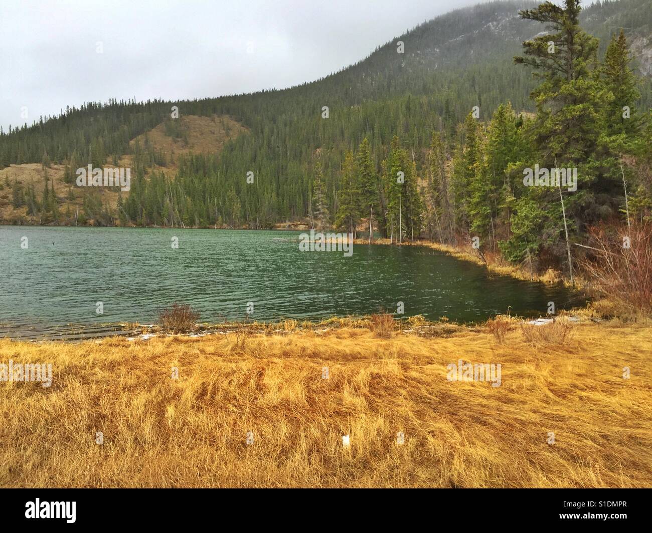 Am Straßenrand Lake im Jasper Nationalpark, Kanada - Smartphone-aufgenommenes Stockfoto
