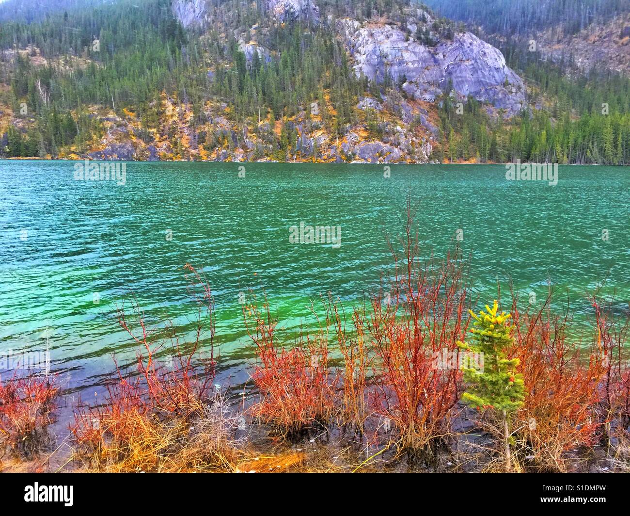 Am Straßenrand Lake im Jasper Nationalpark, Kanada - Smartphone-aufgenommenes Stockfoto