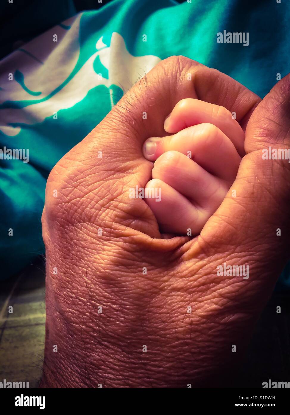 Hand in Hand. Zwei Generationen auseinander halten Hände. Die Zukunft