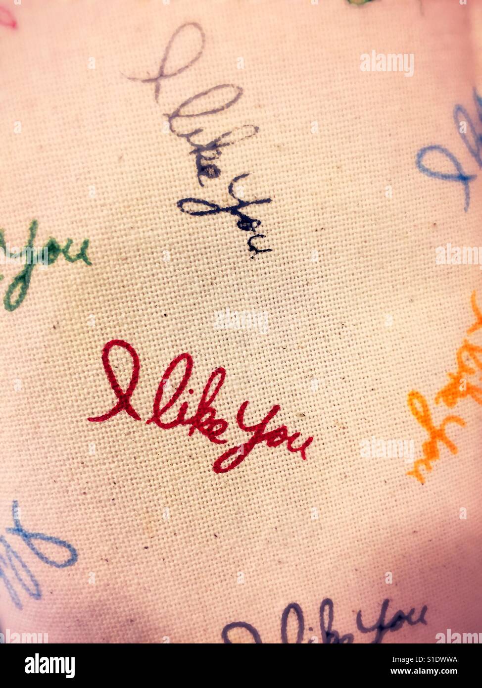 Amy Sedaris "Ich mag dich" Geschirrtuch - Smartphone-aufgenommenes Stockfoto