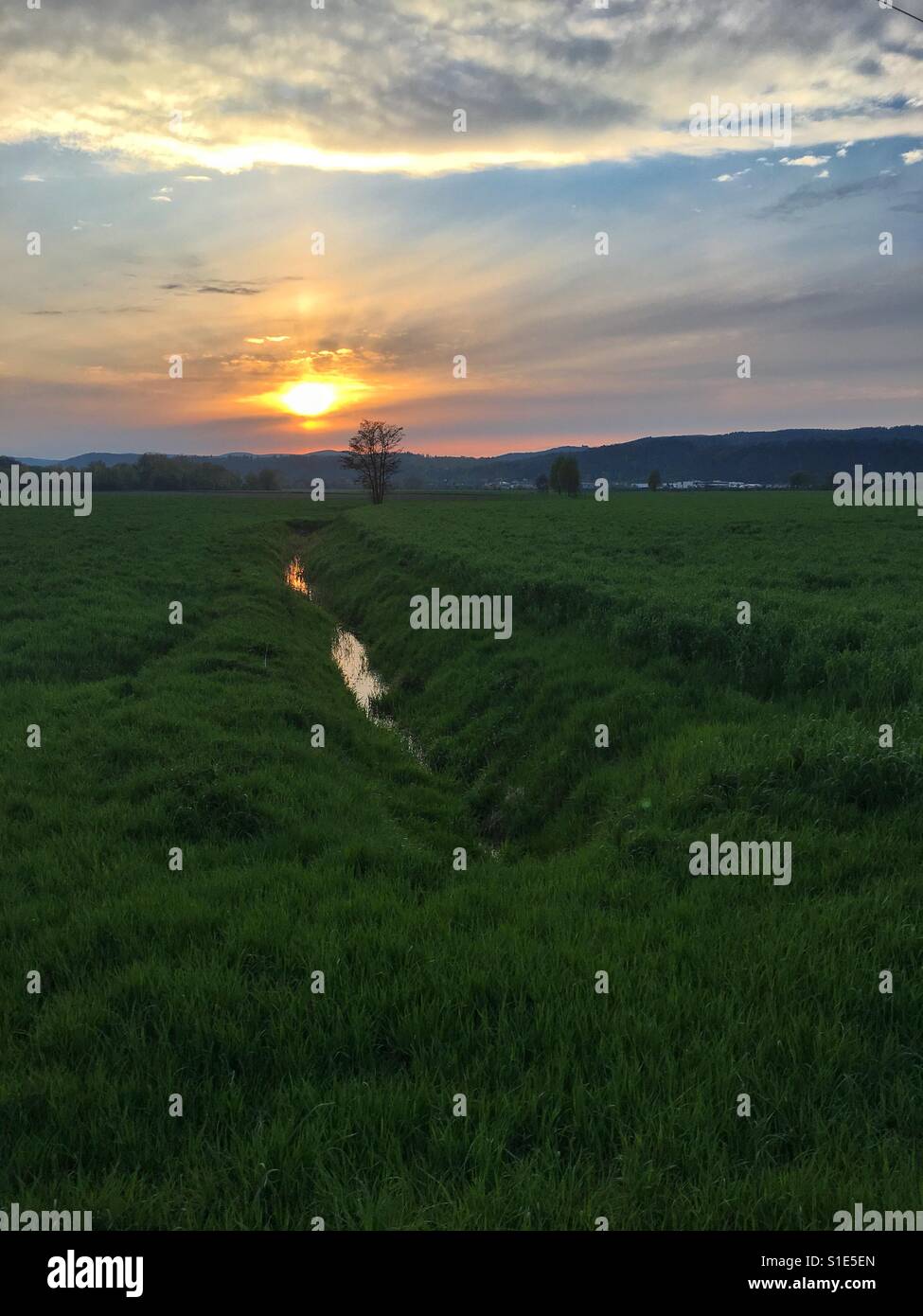 Querformat aus einem Feld mit tiefgrünen Rasen und einem Bach bei Sonnenuntergang Stockfoto