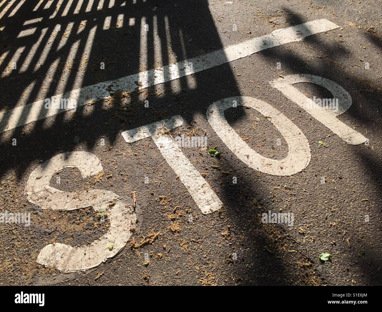 Stop-Schild geschrieben auf Asphalt Stockfoto