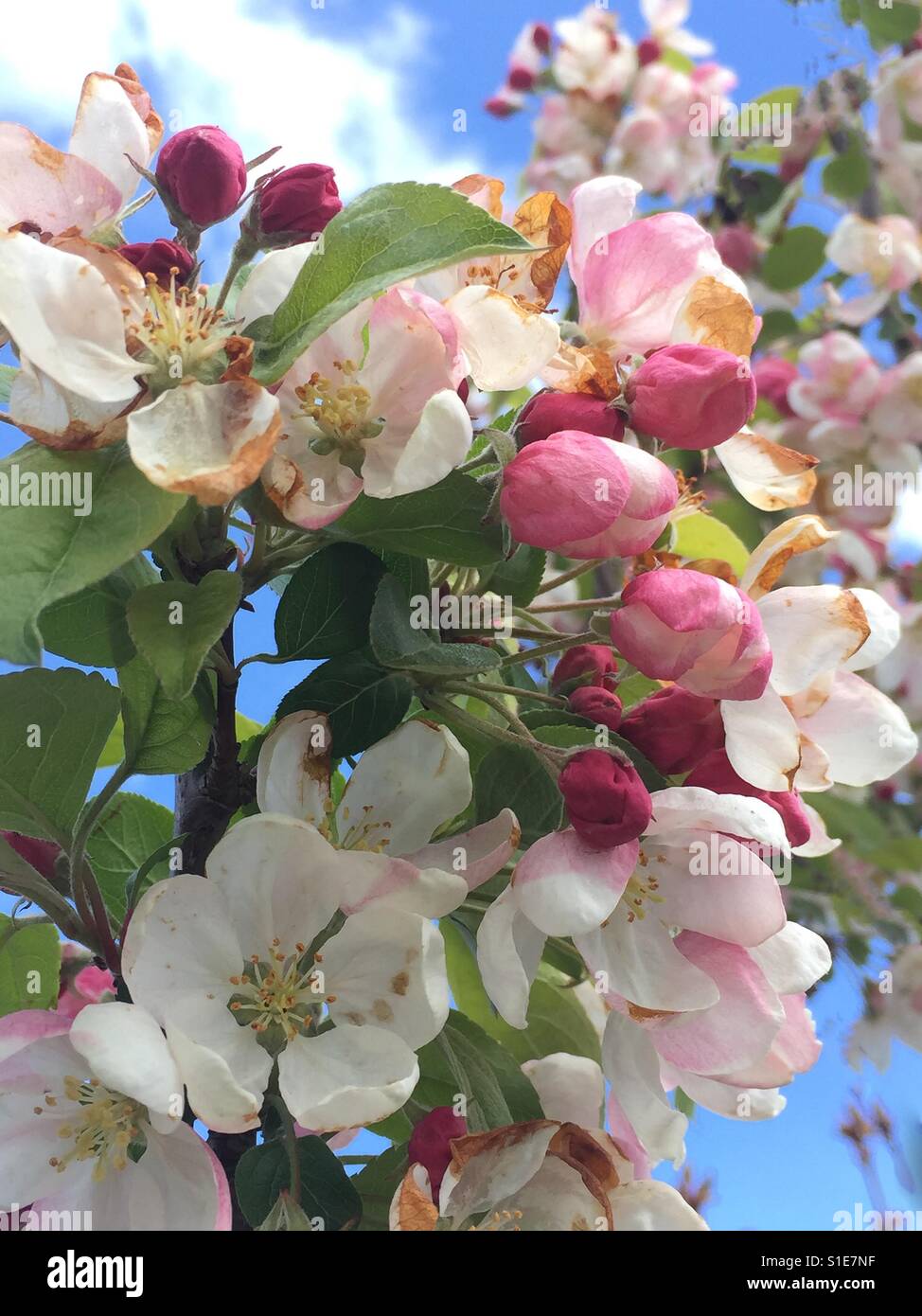 Ich liebe es...! - Smartphone-aufgenommenes Stockfoto