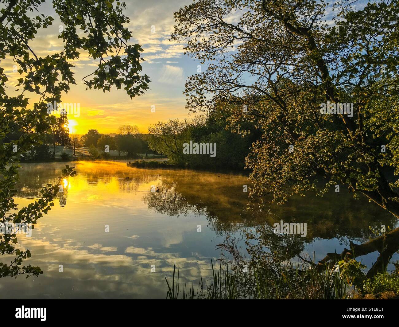 Sonnenaufgang über dem Pittville Park Stockfoto