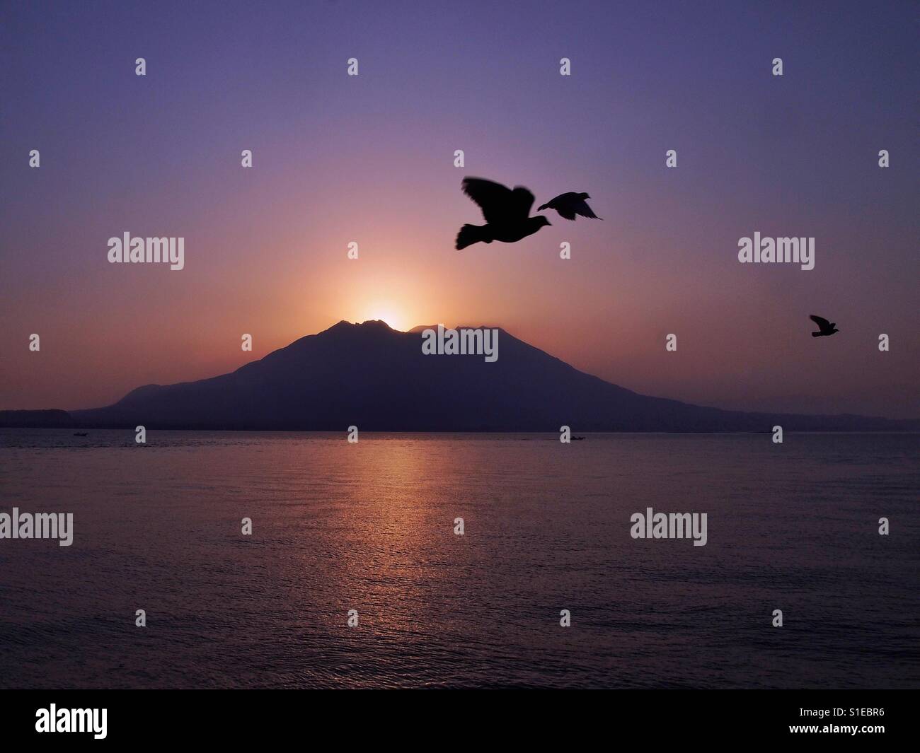 Dieses Foto wurde in Kagoshima-Shi, Japan. Vögel fliegen gemeinsam in den Morgen. Den Sonnenaufgang hinter den Vulkan. Dieser Vulkan Sakurajima benannt. Sakurajima noch aktiv und ausbrechen fast jeden Tag Stockfoto