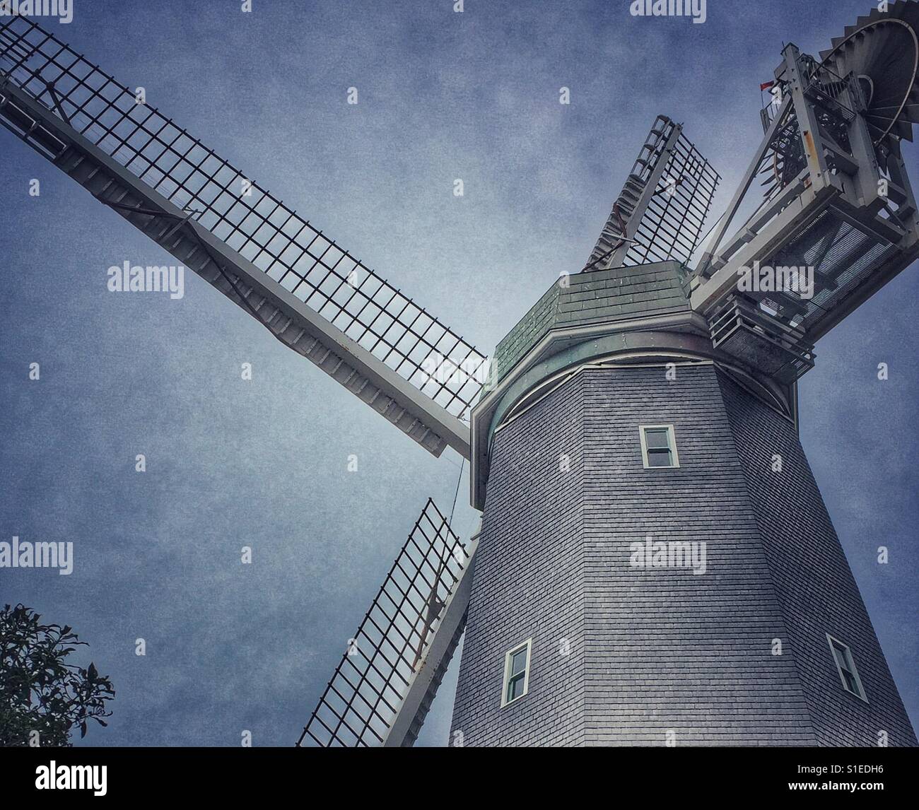 Windmühle im Golden Gate Park - Smartphone-aufgenommenes Stockfoto