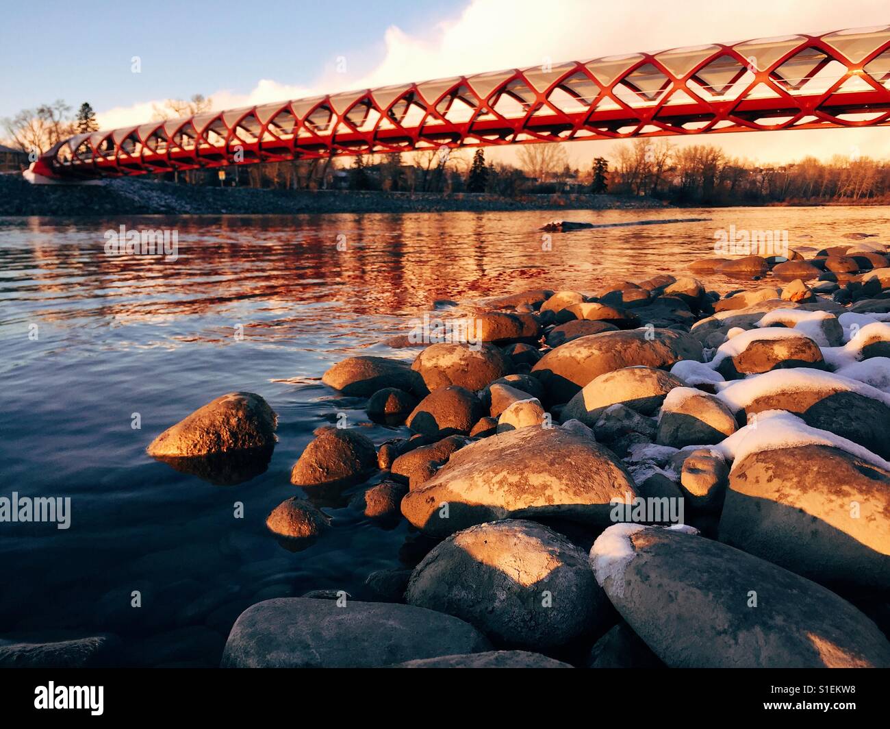 Ein Bild des Bow River mit der Friedensbrücke im Hintergrund in Calgary, Alberta, Kanada. Stockfoto