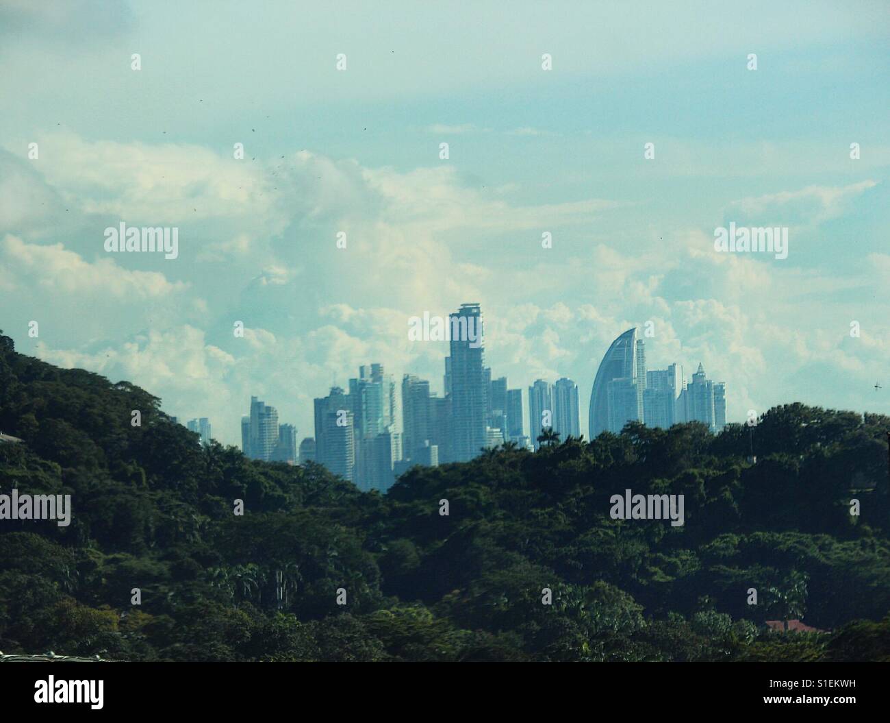 Panama-Stadt steigt aus dem Dschungel Stockfoto