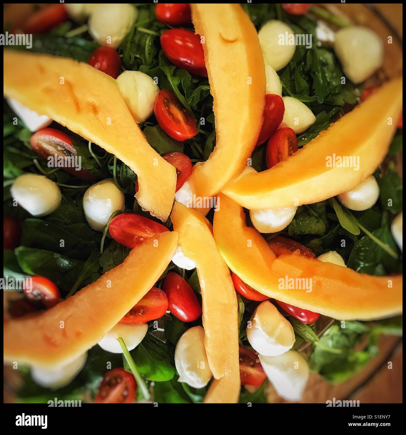 Melonen-Salat; Melone, Spinat, Tomaten und mozzarella Stockfoto