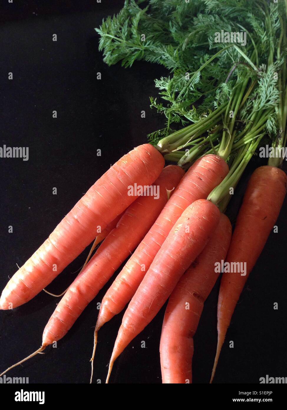 Frische Bio-Karotten - Smartphone-aufgenommenes Stockfoto