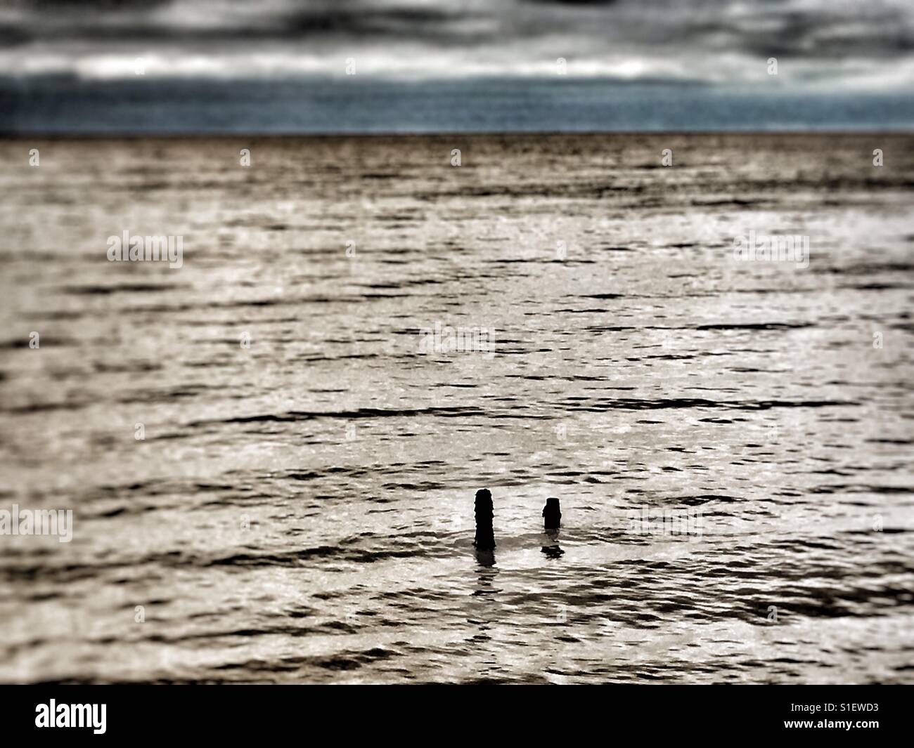 Nordsee, Bawdsey Fähre, Suffolk, UK. - Smartphone-aufgenommenes Stockfoto