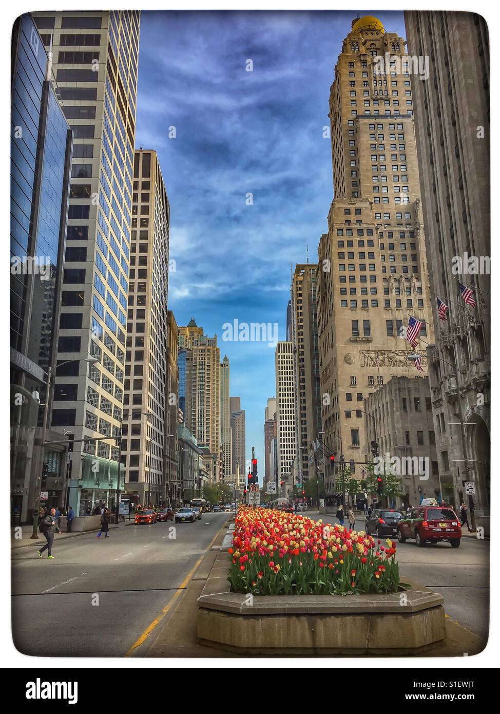 Tulpen blühen im Frühling auf Chicago Magnificent Mile, Michigan Avenue. Stockfoto
