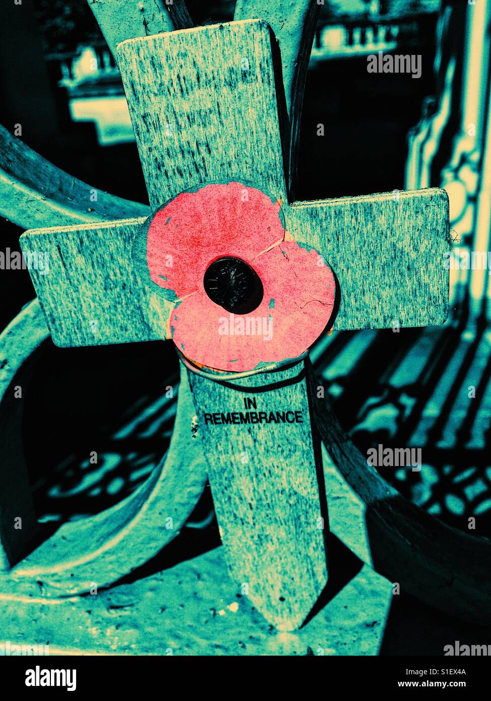 Gedenktag Kreuz und roter Mohn - Smartphone-aufgenommenes Stockfoto