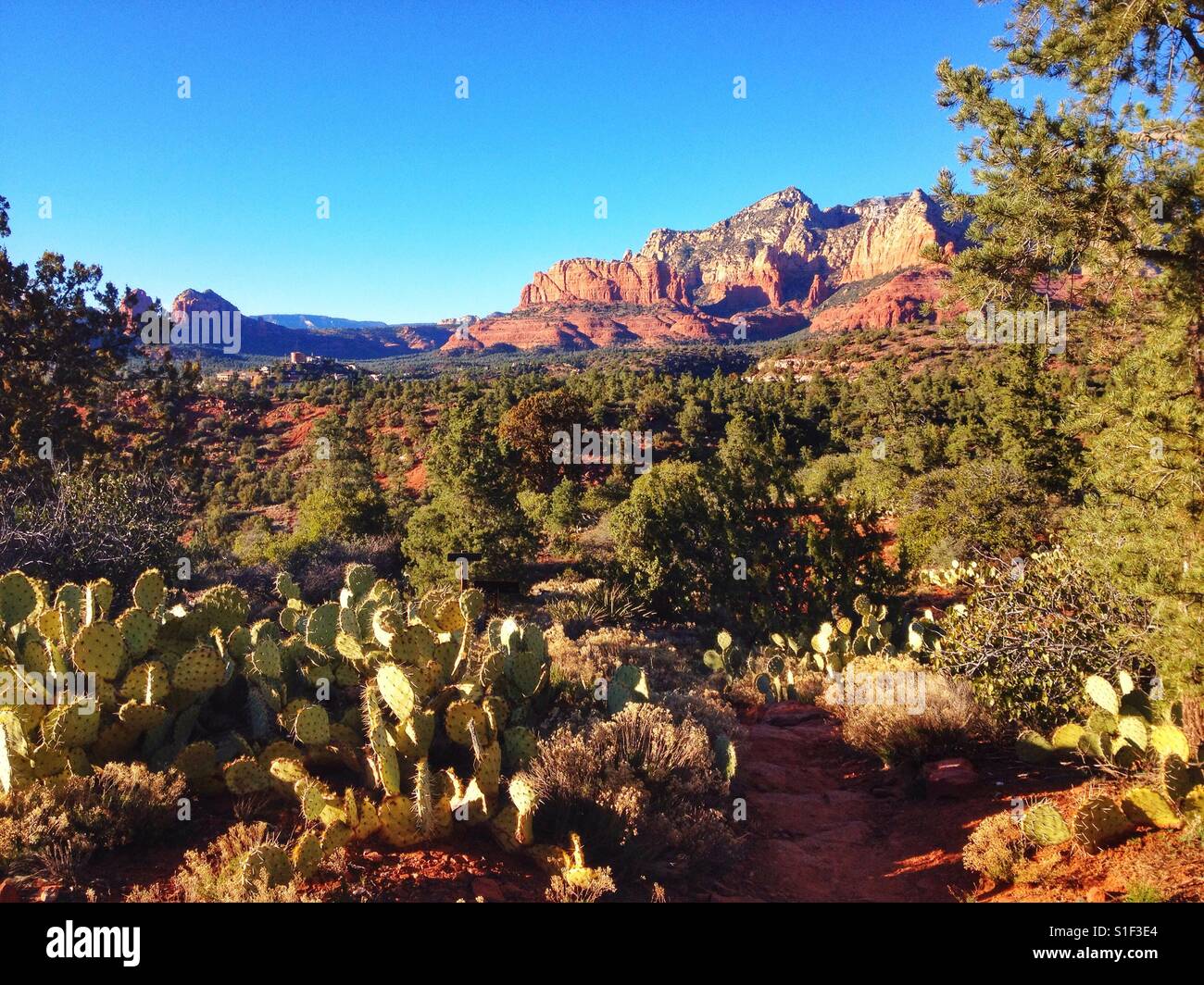 Sedona Wüste Ansicht mit Kakteen und Berge.  Arizona malerische Aussicht. Stockfoto