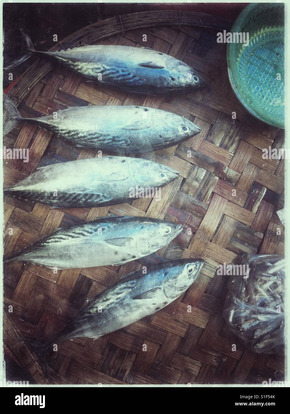 Fische zu verkaufen. - Smartphone-aufgenommenes Stockfoto