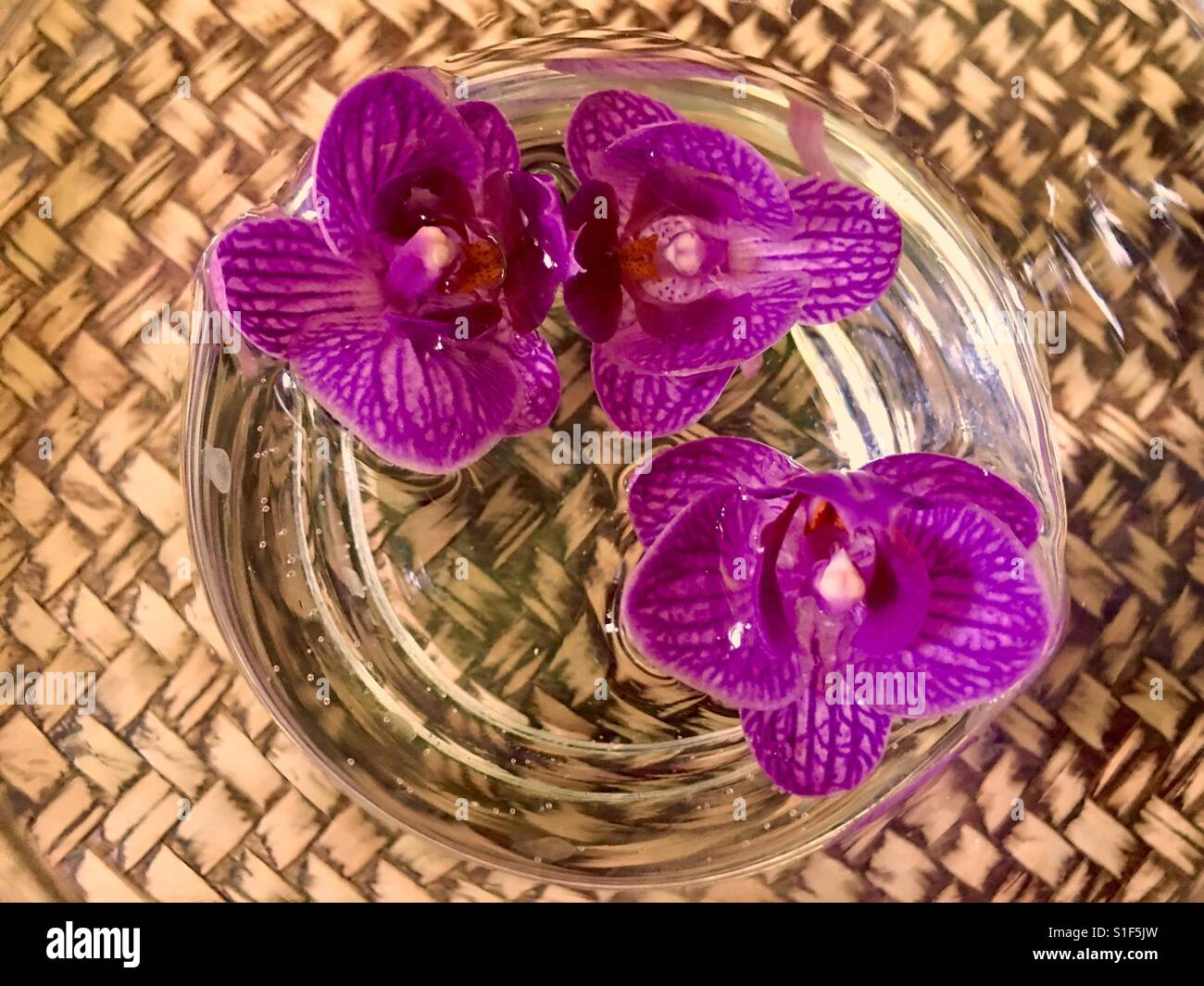 Magenta rosa Orchideen in einer Schüssel mit Wasser und auf einem Tablett vietnamesische Naturfaser gewebt - Smartphone-aufgenommenes Stockfoto