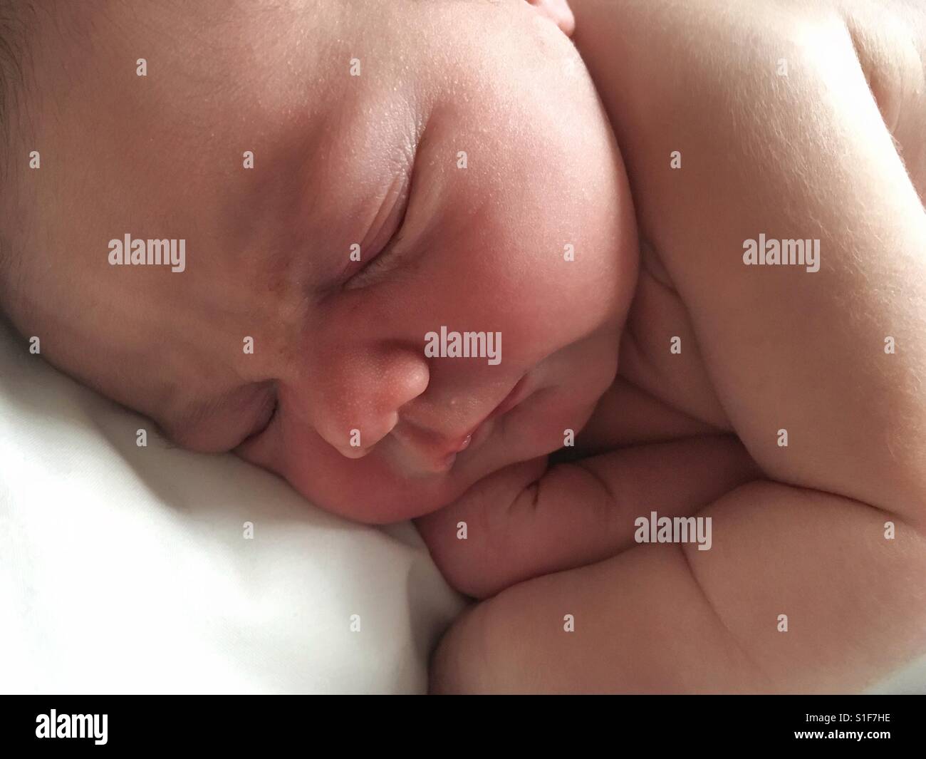 Neugeborenes Baby friedlich schlafend. Porträt eines Babys hautnah mit natürlichem Licht. Neuen Lebenskonzept. Stockfoto