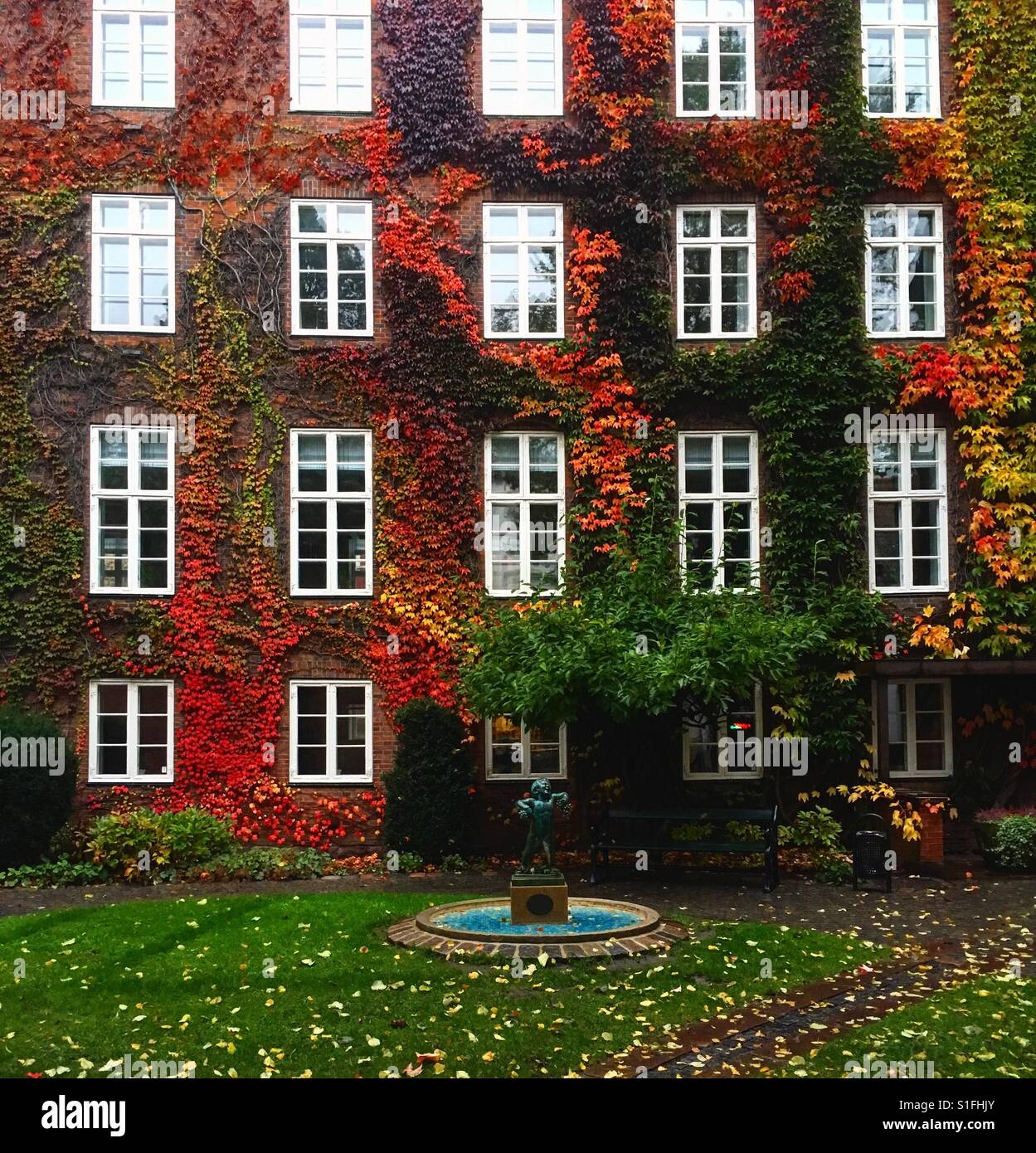 Herbst Wand Fenster Stockfoto