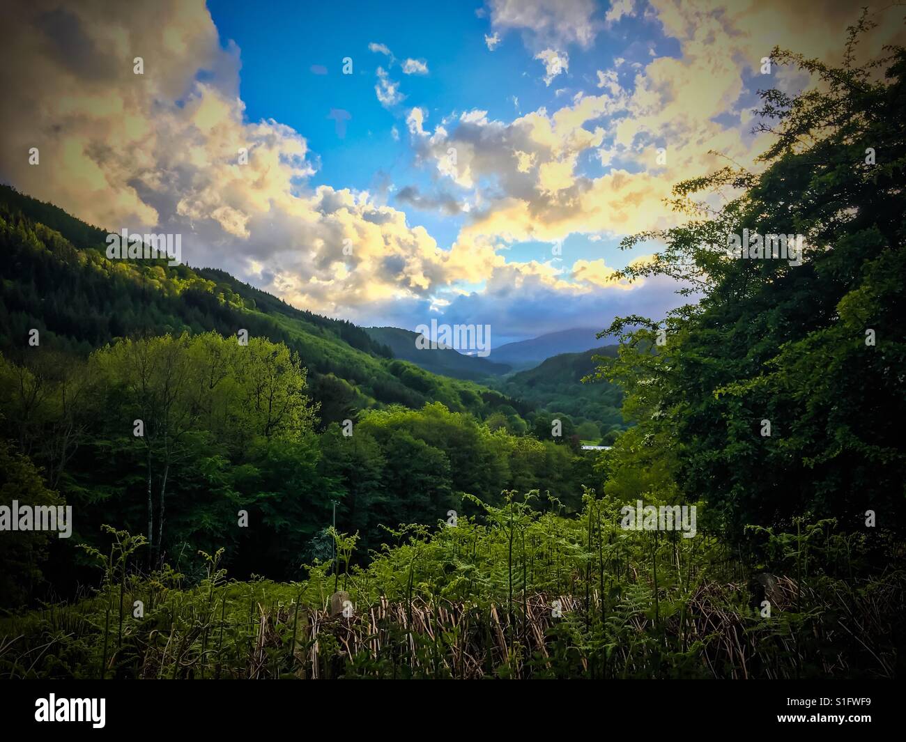 Ein Tal im Norden von Wales auf dem Weg nach Snowdonia National Park, UK Stockfoto