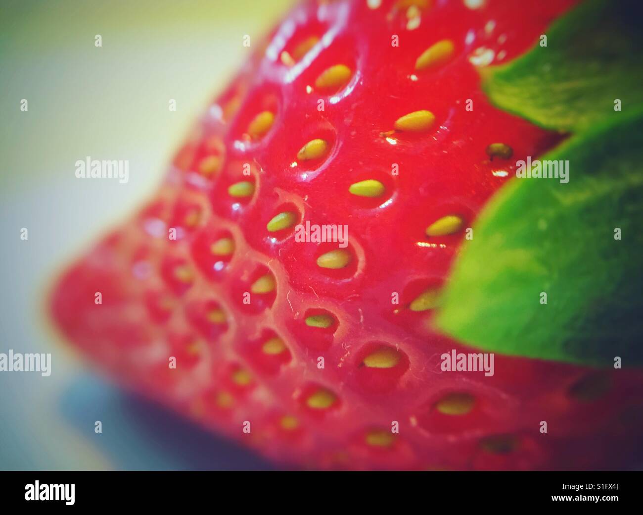 Nahaufnahme einer organischen Erdbeere Stockfoto