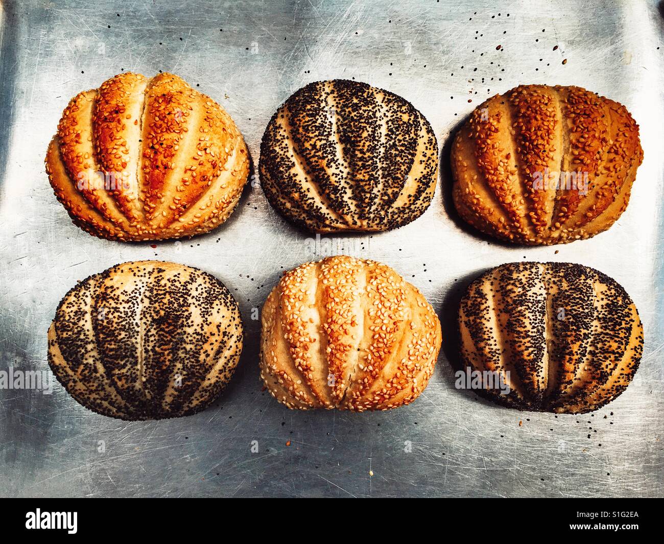 Paul Hollywood bereit, kernigen Brot backen Brötchen - Smartphone-aufgenommenes Stockfoto
