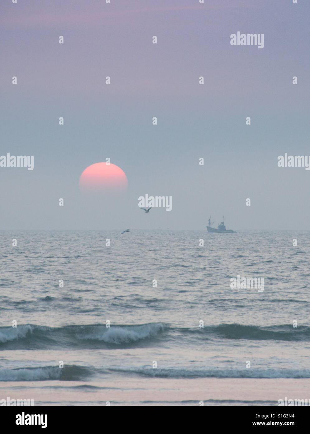 Eine große rote Sonne wird runtergefahren. Meer mit einem Schiff auf den Horizont und die Vögel fliegen Stockfoto