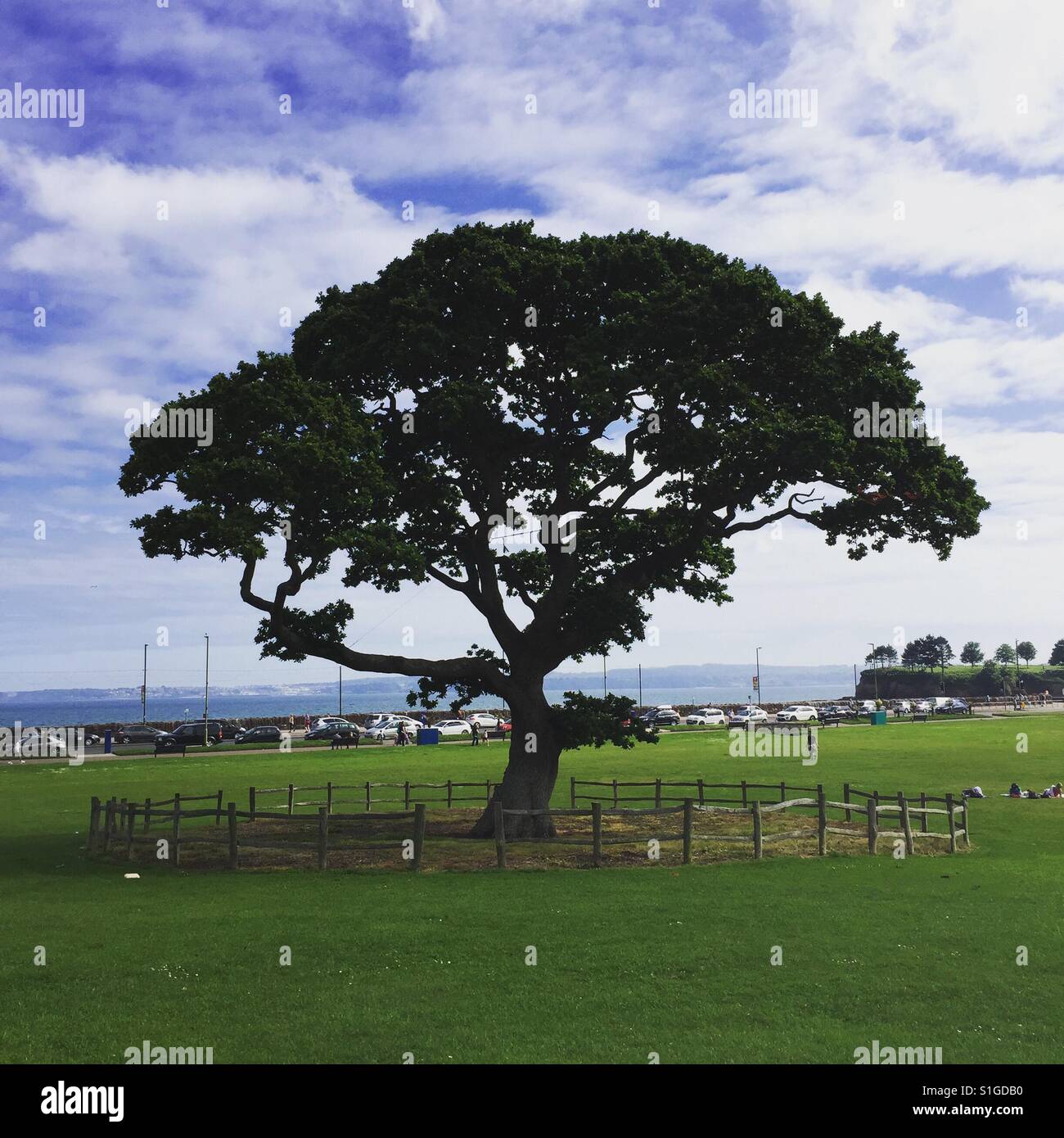 Torquay Meer Stockfoto