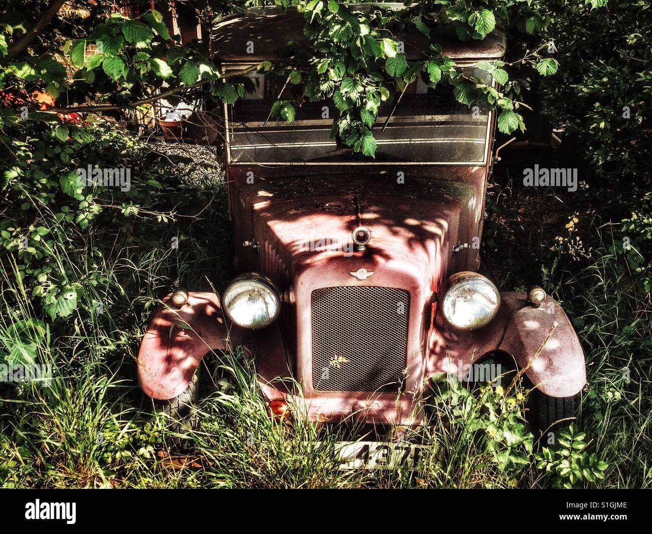 Oldtimer im Unterholz versteckt Stockfoto