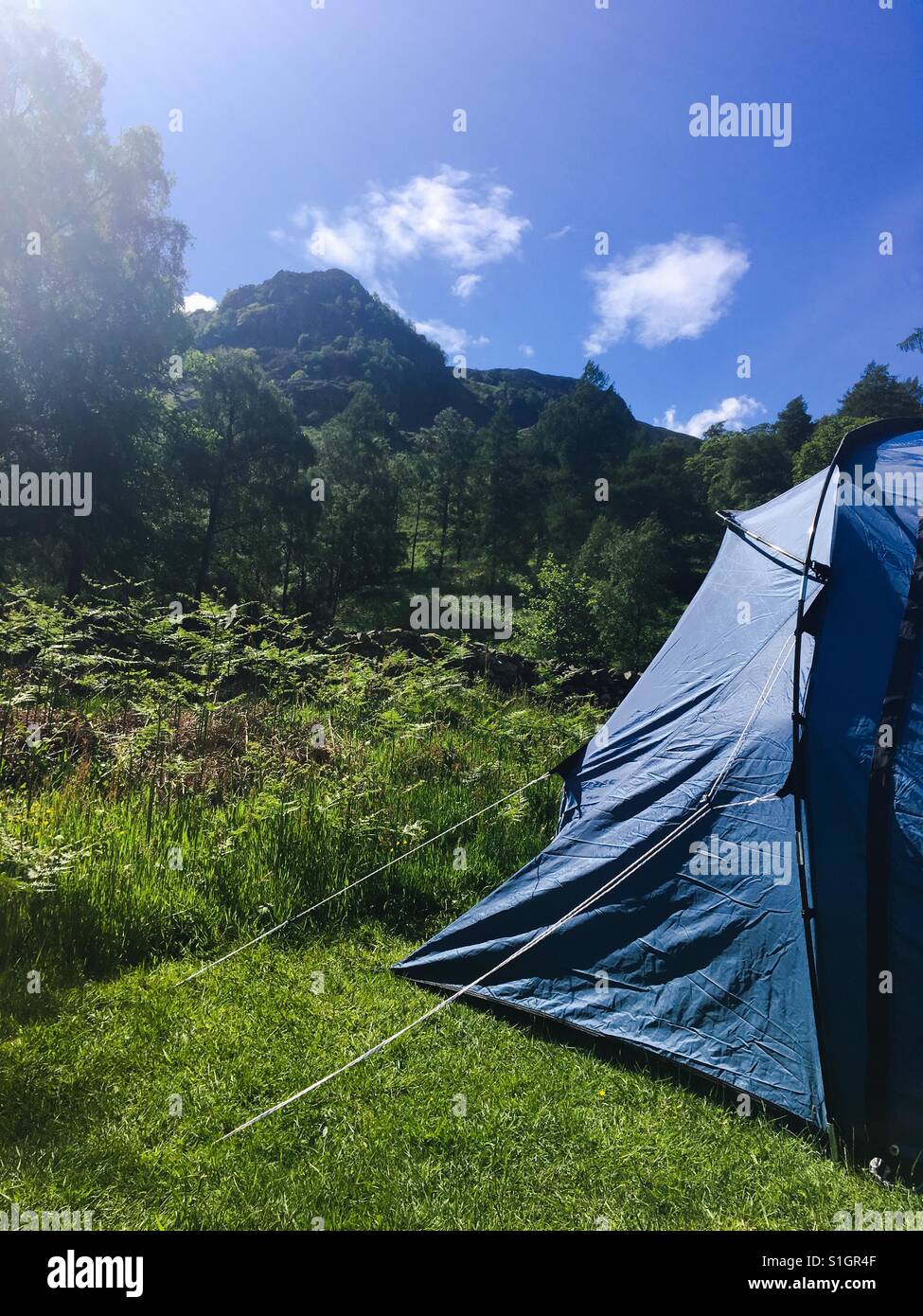 Ein Zelt aufgestellt am Fuß des Hügels Katze Glocken im Lake District. Stockfoto