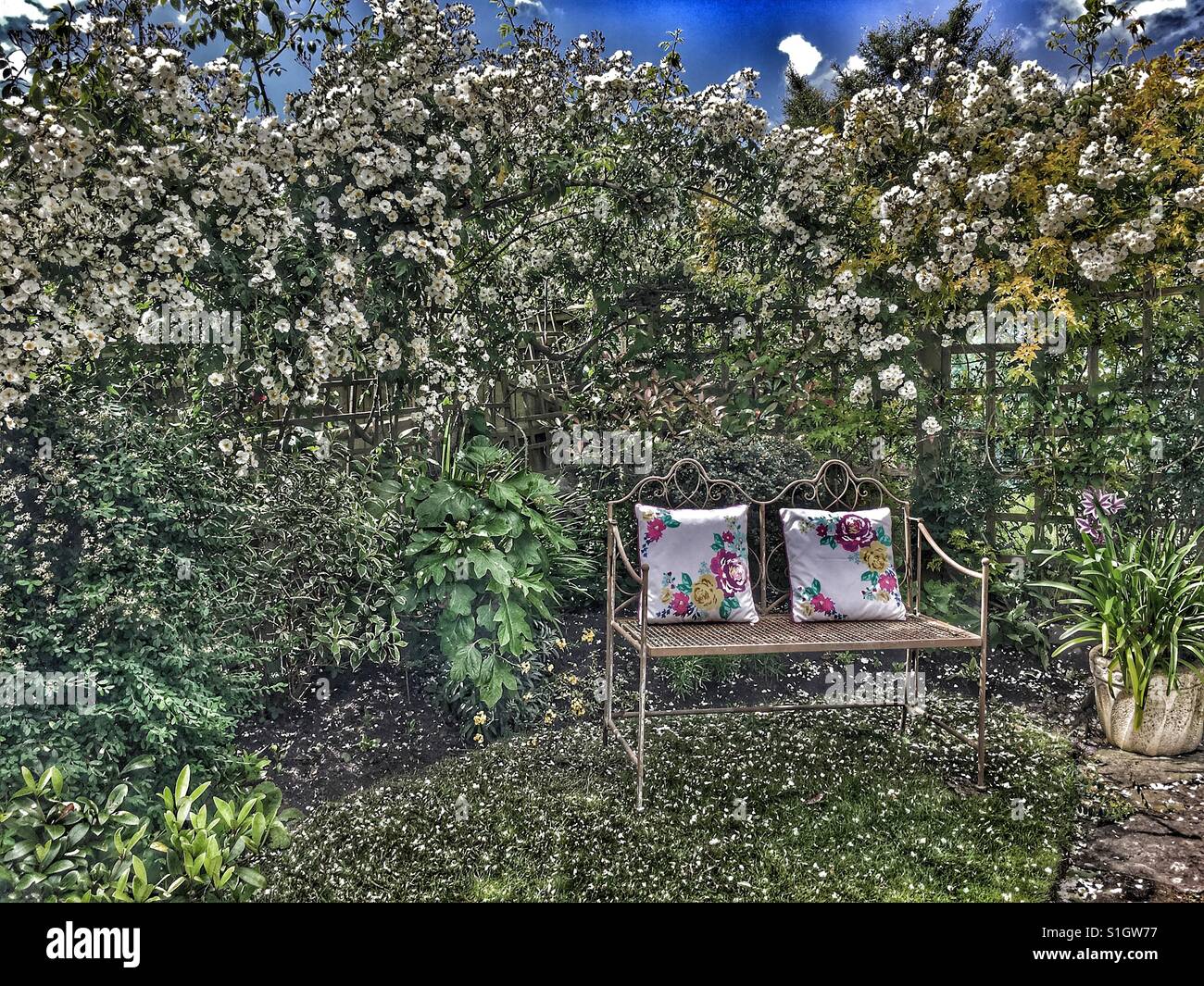 Gartenbank im Sommer. Stockfoto