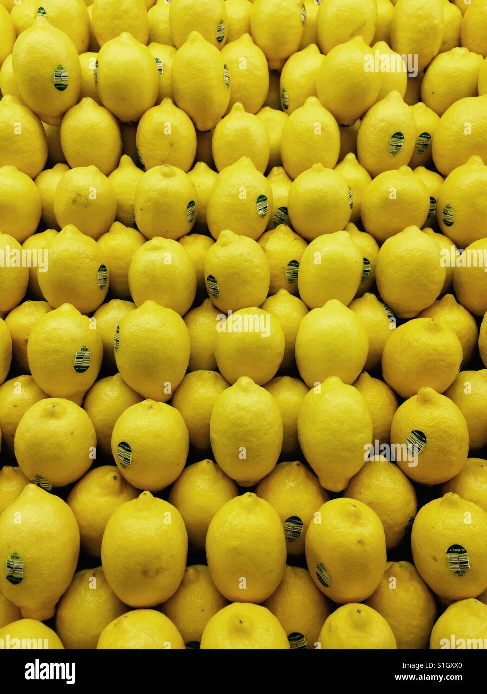 Wenn das leben dir zitronen gibt, mach limonade daraus Fotos und Bildmaterial in hoher