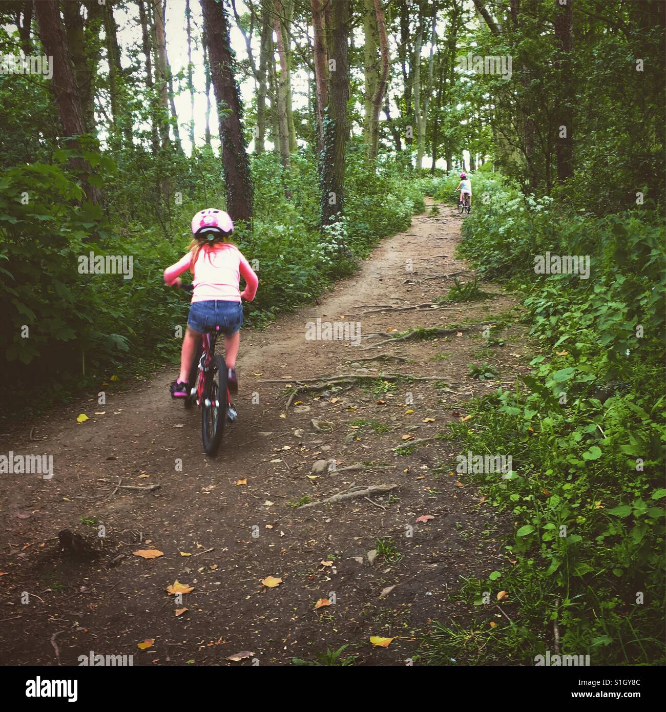 Mädchen Fahrrad durch den Wald. Stockfoto