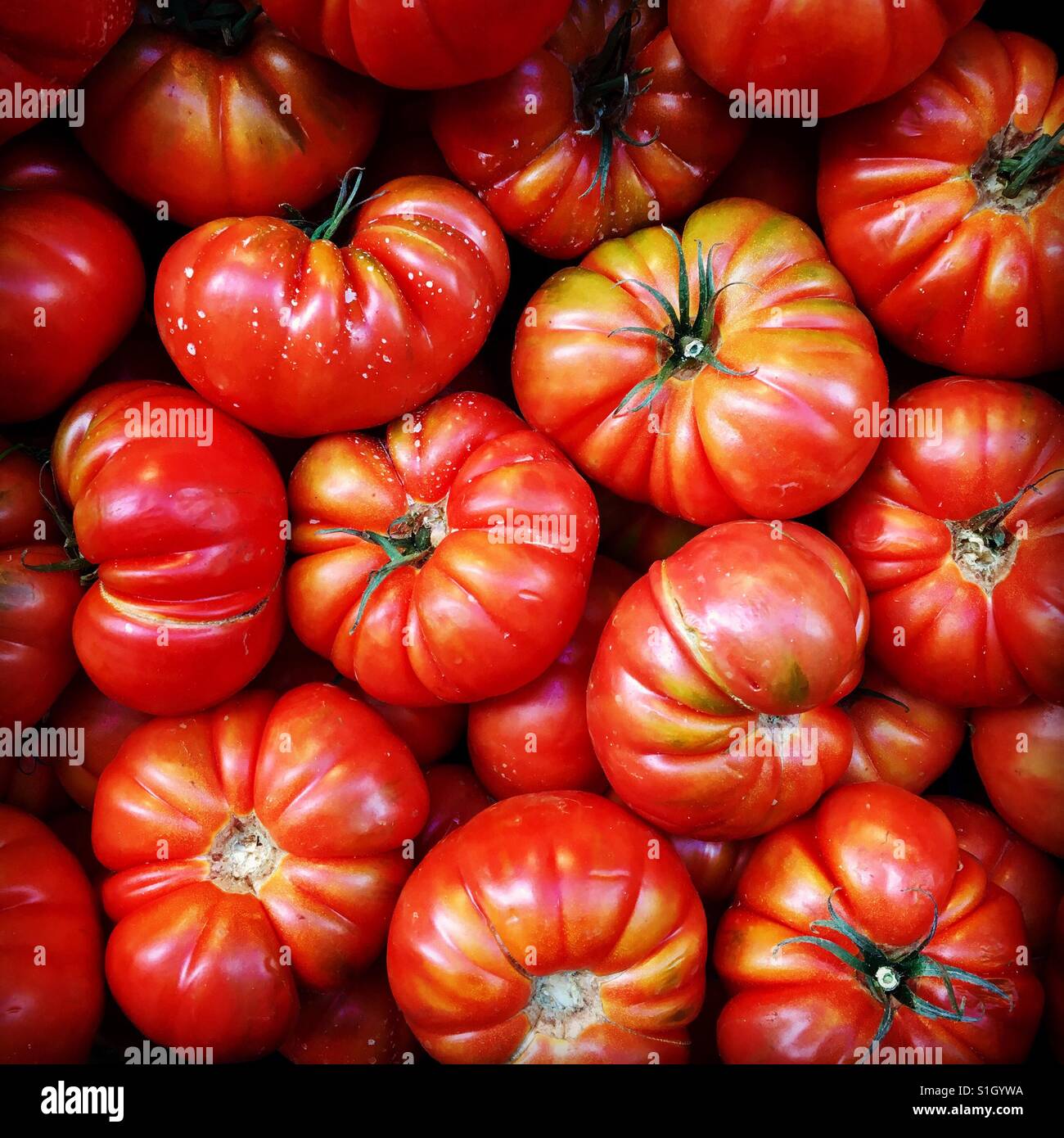 Frische Tomaten zum Verkauf ein Markt mit frischen Lebensmitteln Stockfoto